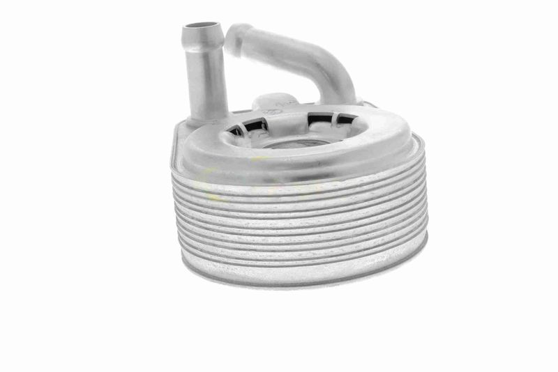 VEMO V48-60-0013 Oil Cooler, engine oil