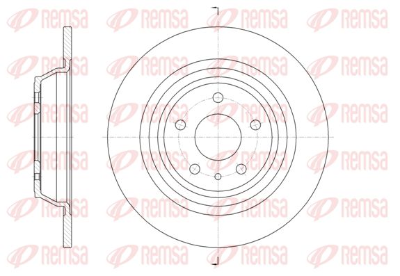 REM61606-00-MODEL.BMP