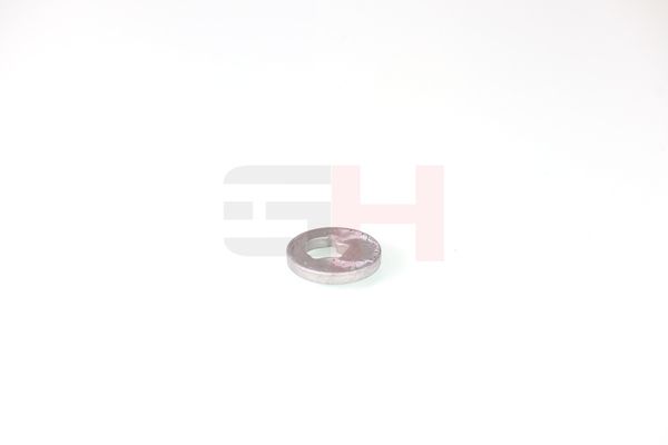 caster shim, sillatala, GH GH-391582
