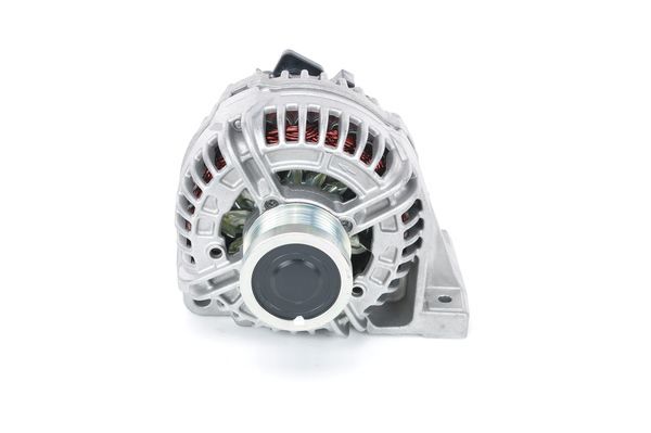 0124525529PH19WHCO0000.JPG