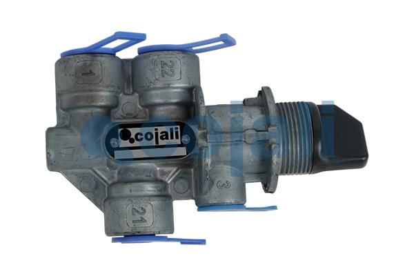Supapa multicai COJALI 2215211