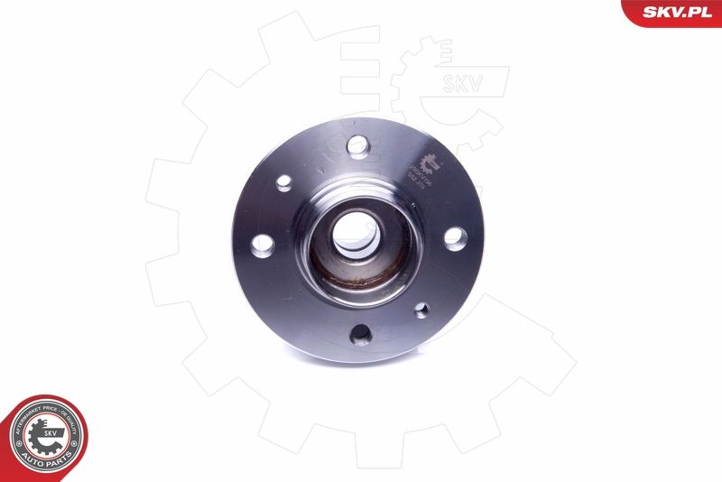 ESEN SKV 29SKV196 Wheel Bearing Kit