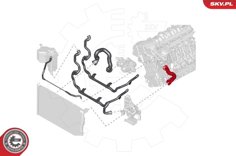 Шланг радіатора, Skv Germany 24SKV279
