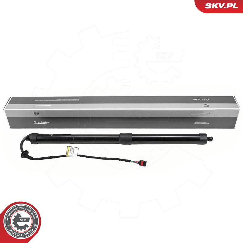 Elektrimootor, tagaluuk, ESEN SKV 52SKV168