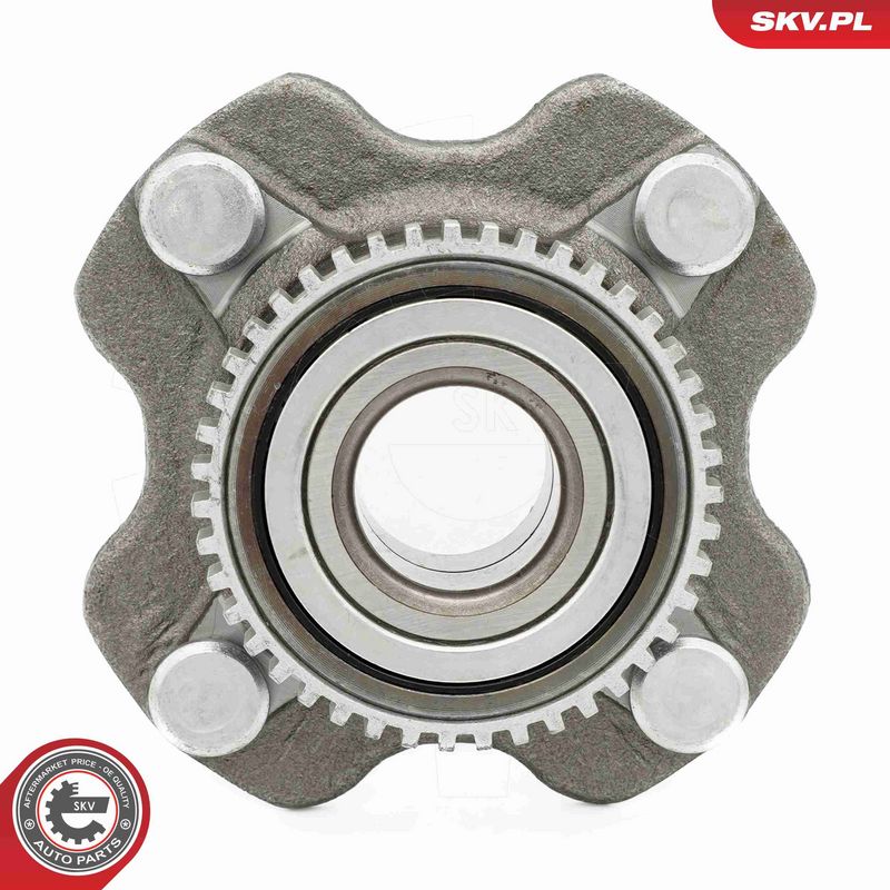 ESEN SKV 29SKV678 Wheel Bearing Kit