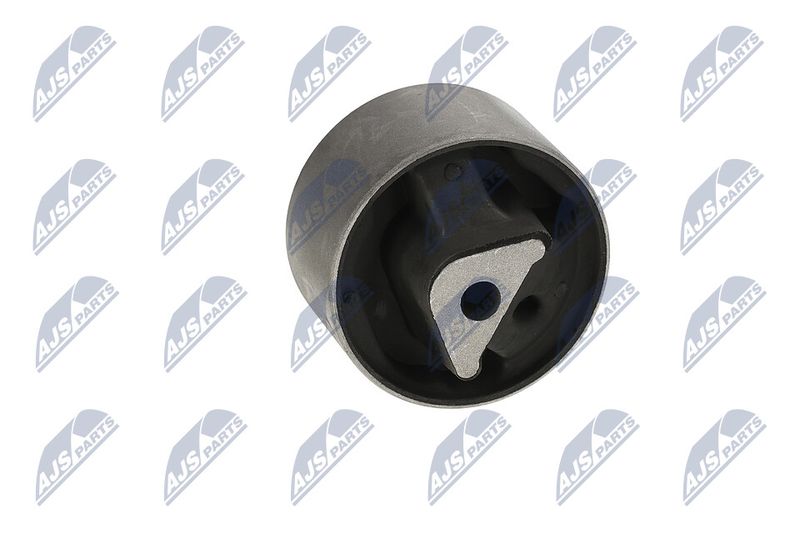 Paigutus, Mootor, NTY ZPS-CH-040