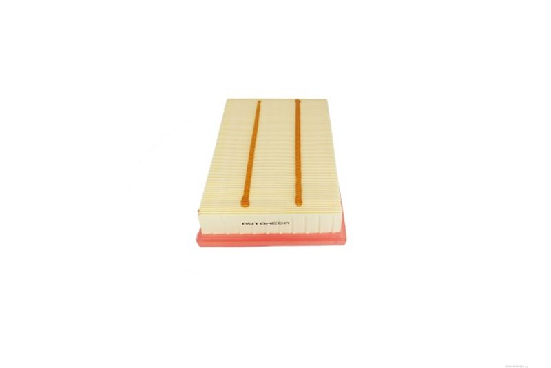 AUTOMEGA 246783410 Air Filter