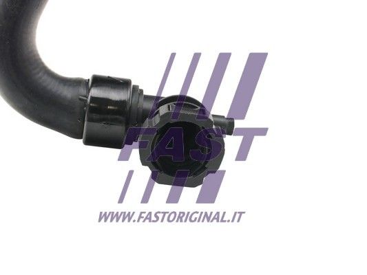 FT61155_2_1.JPG