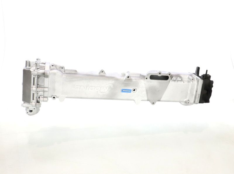 REMANTE 010-001-000017R EGR Module