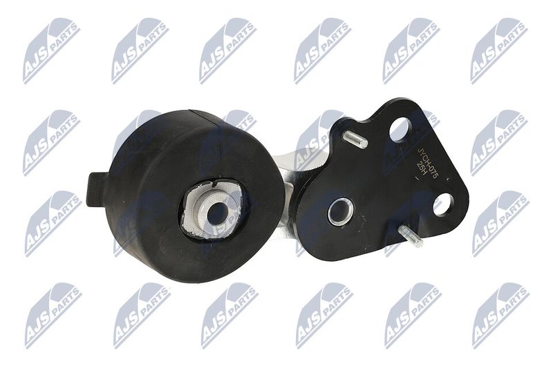 Paigutus, Mootor, NTY ZPS-CH-075