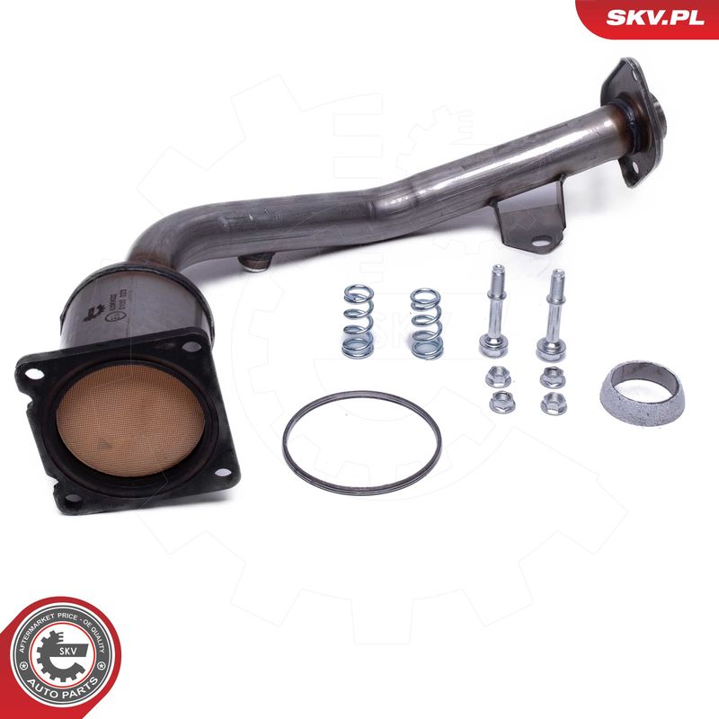 ESEN SKV 62SKV022 Catalytic Converter