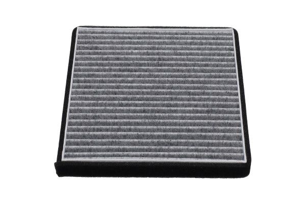 Kavo Parts Filtras, salono oras