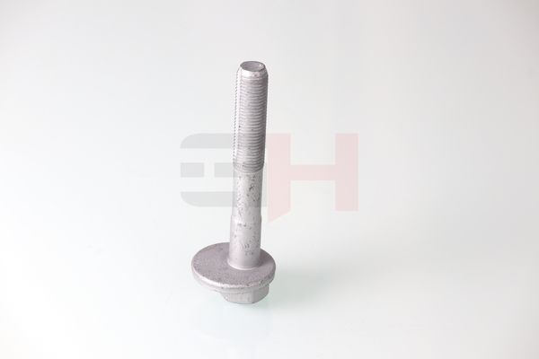 GH GH-399901 Camber Correction Screw