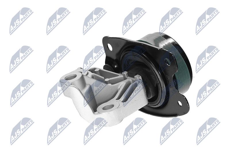 Paigutus, Mootor, NTY ZPS-CH-147