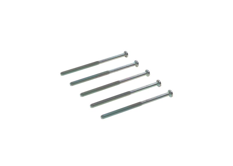 Surub 1 123 429 125 BOSCH