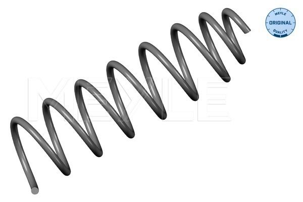 ZS_1007390037_1.JPG