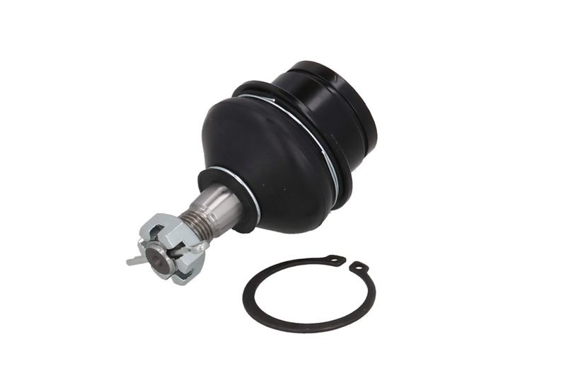 Kande-, juhtliigend, KAMOKA...