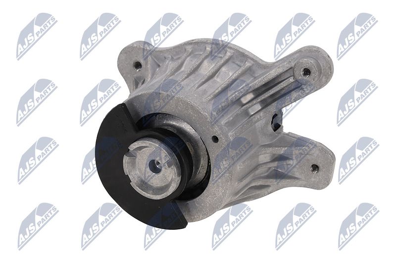 Paigutus, Mootor, NTY ZPS-ME-028