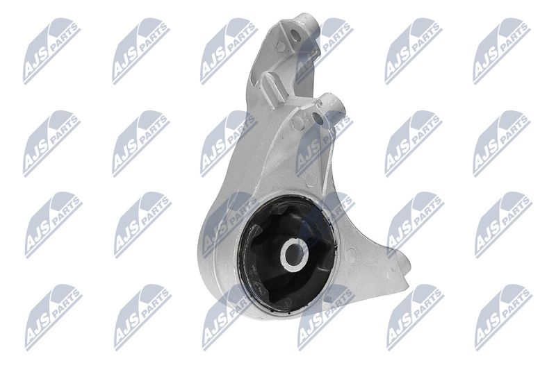 Paigutus, Mootor, NTY ZPS-CH-149