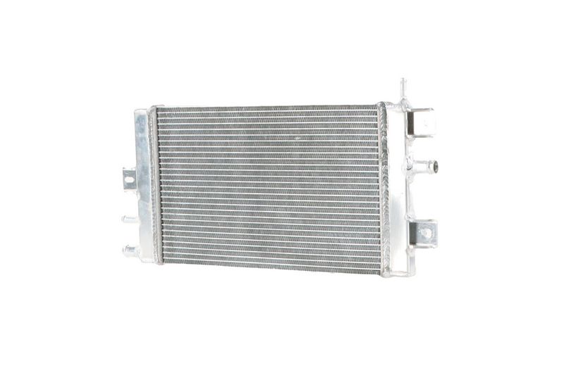 Prekės atitinka OEM kodą: 214109411R