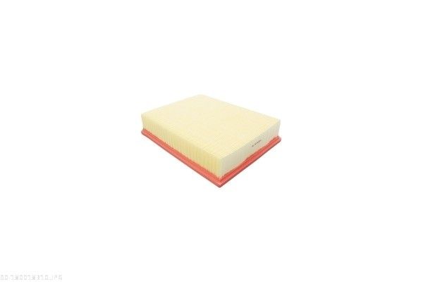 AUTOMEGA 180018310 Air Filter