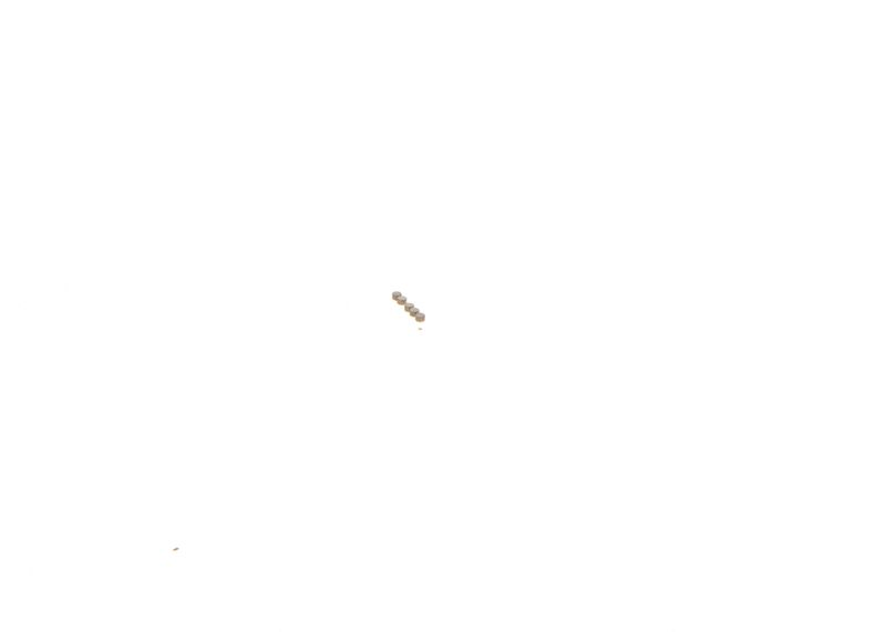 BOSCH F00ZC99141 Repair Kit, common rail system