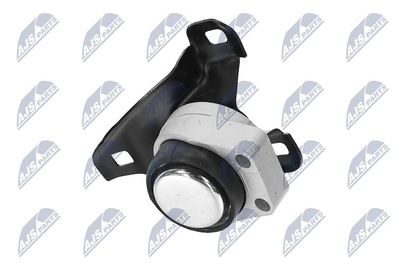 Paigutus, Mootor, NTY ZPS-FR-011