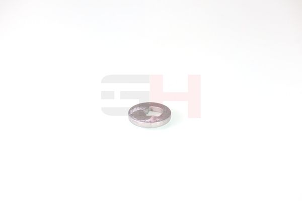 caster shim, sillatala, GH GH-391582