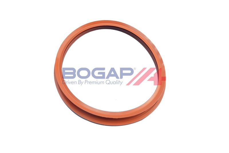 GARNITURA POMPA COMBUSTIBIL BOGAP A1623100 4