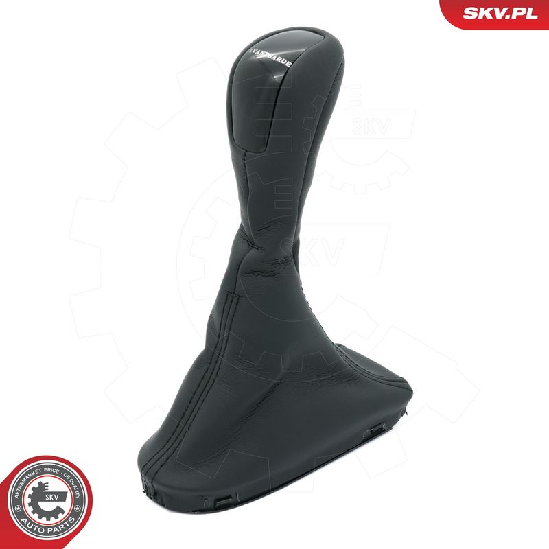 Käigukanginupp, ESEN SKV...