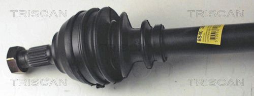 854038525_2.JPG