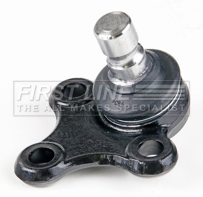 FBJ5790_5691161.JPG