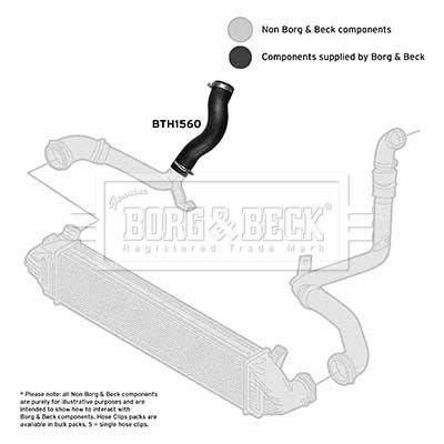BTH1560_1101877.JPG