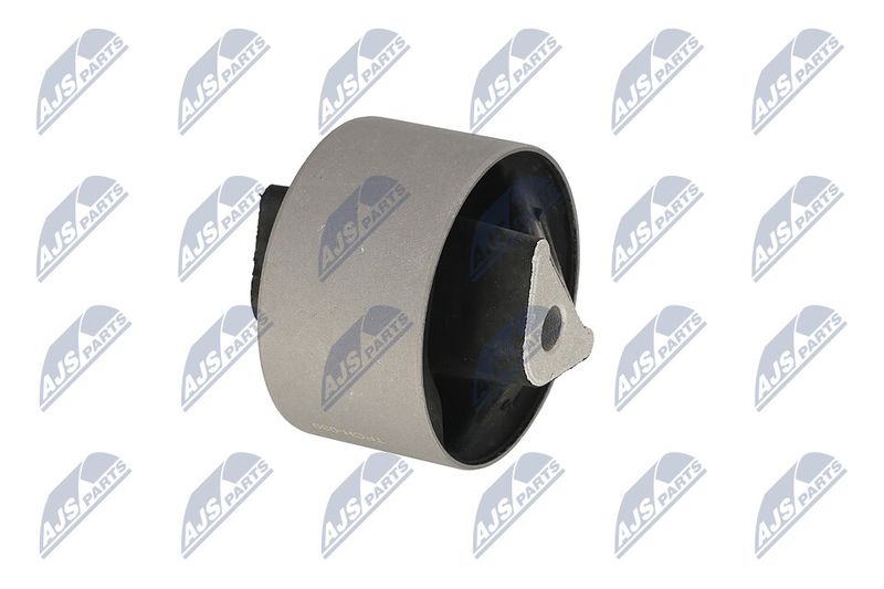 Paigutus, Mootor, NTY ZPS-CH-039