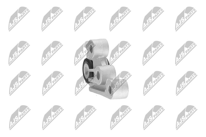 Paigutus, Mootor, NTY ZPS-CH-120