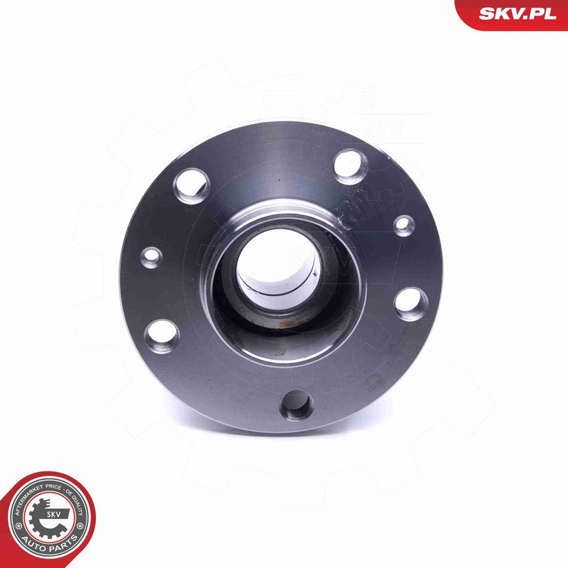 ESEN SKV 29SKV216 Wheel Bearing Kit
