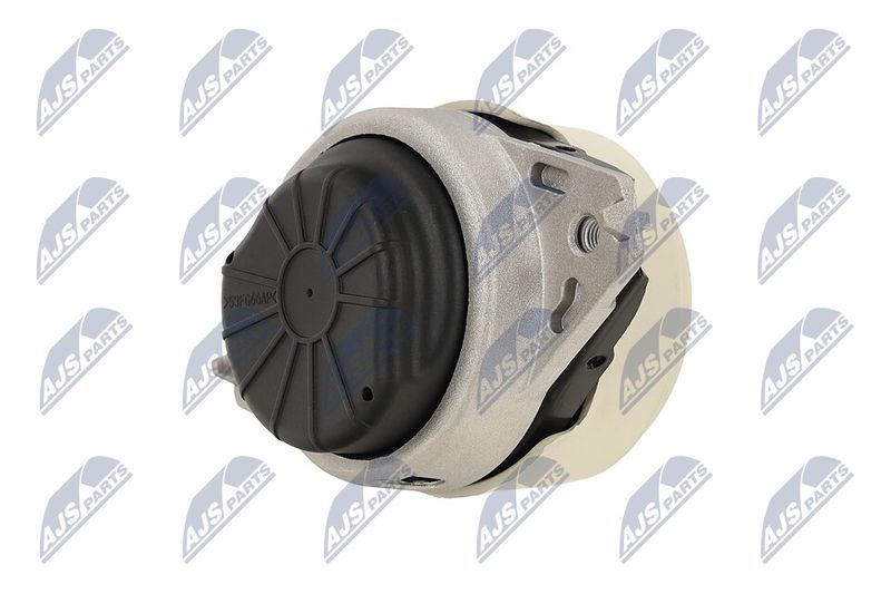 Paigutus, Mootor, NTY ZPS-ME-077