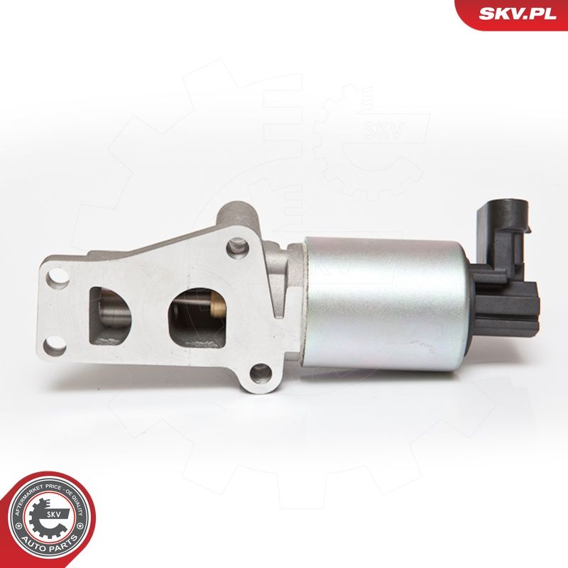 EGR-klapp, ESEN SKV 14SKV065