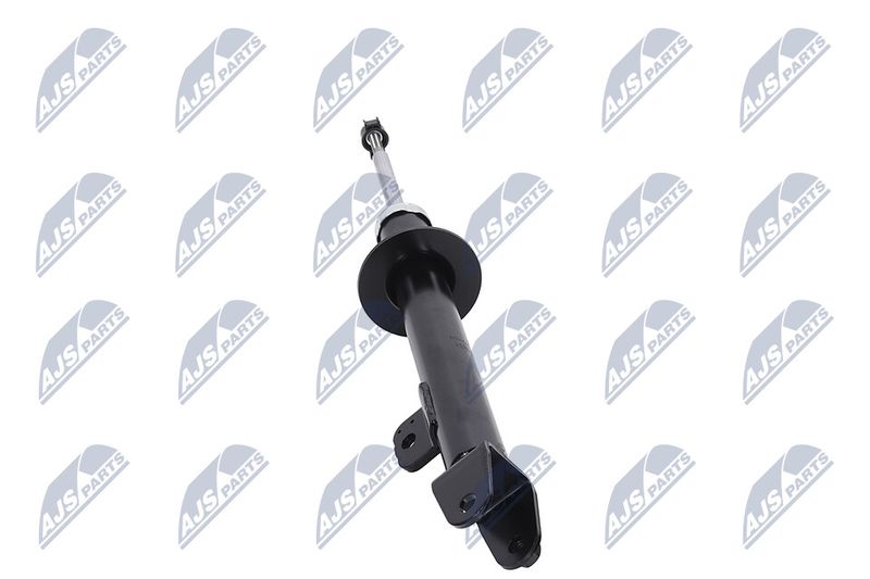 Amort, NTY A-CH-070