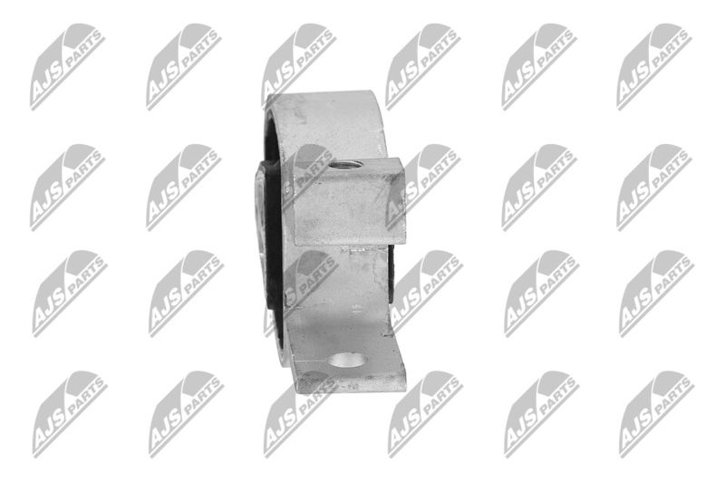 Paigutus, Mootor, NTY ZPS-FR-010