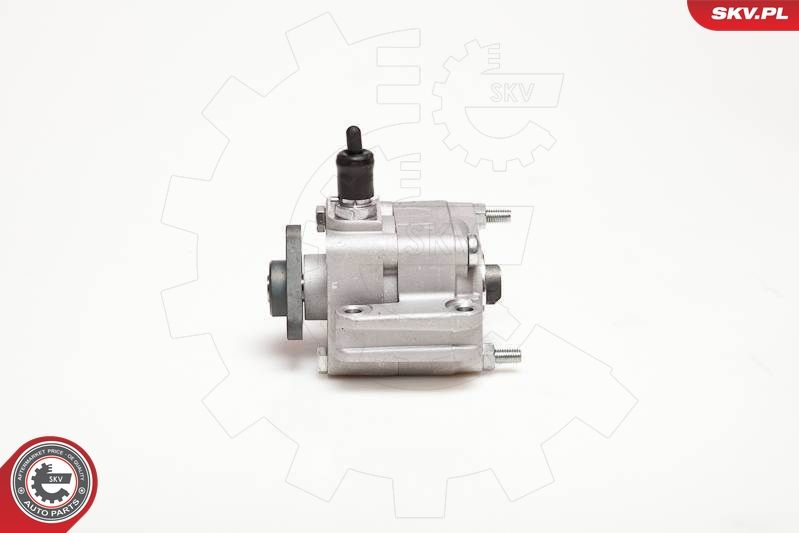 ESEN SKV 10SKV109 Hydraulic Pump, steering