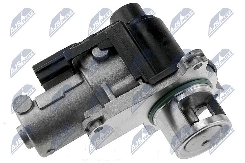 EGR-klapp, NTY EGR-WW-005