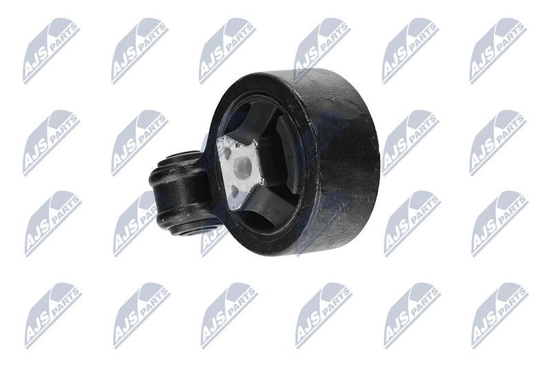 Paigutus, Mootor, NTY ZPS-CH-117