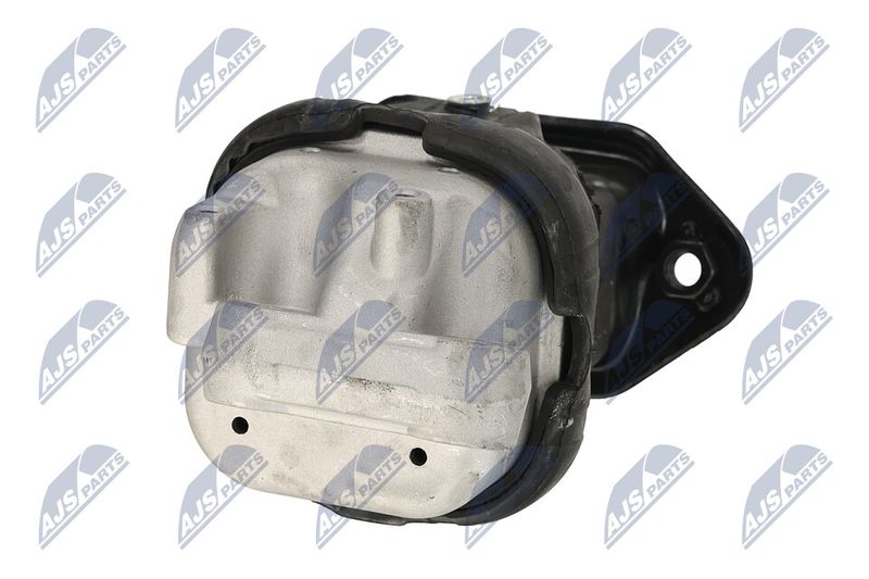 Paigutus, Mootor, NTY ZPS-CH-116