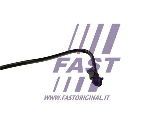 FT61019_3_1.JPG