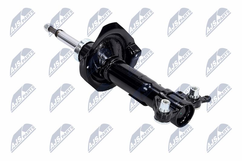 Amort, NTY A-NS-016