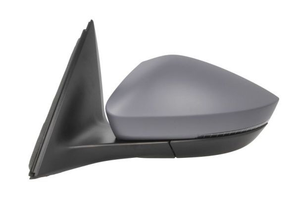 BLIC 5402-43-2195314P Exterior Mirror