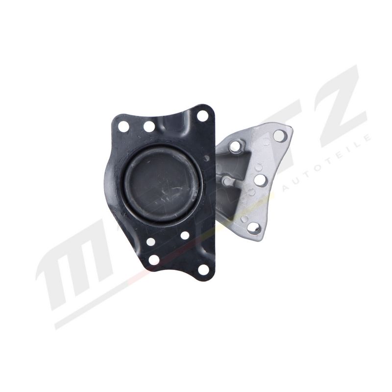 MERTZ M-S5251 Mounting, engine