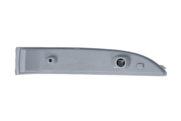 BLIC 5403-20-0546105P Direction Indicator