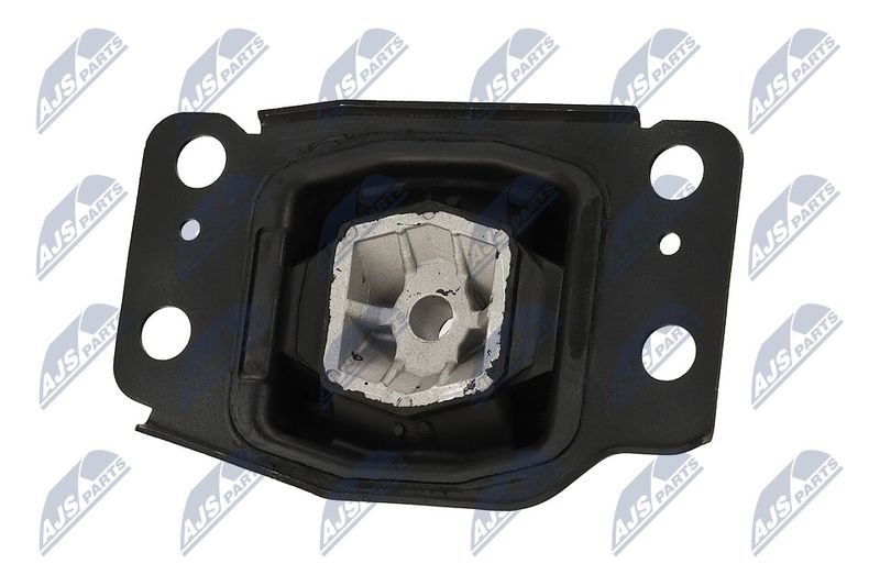 Paigutus, Mootor, NTY ZPS-FR-036